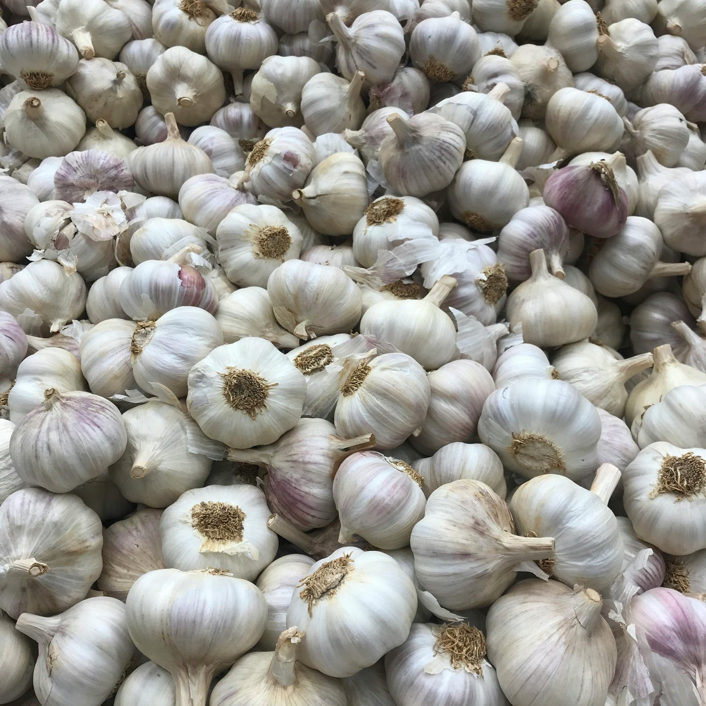 Garlic लसूण (Lasoon) -1kg