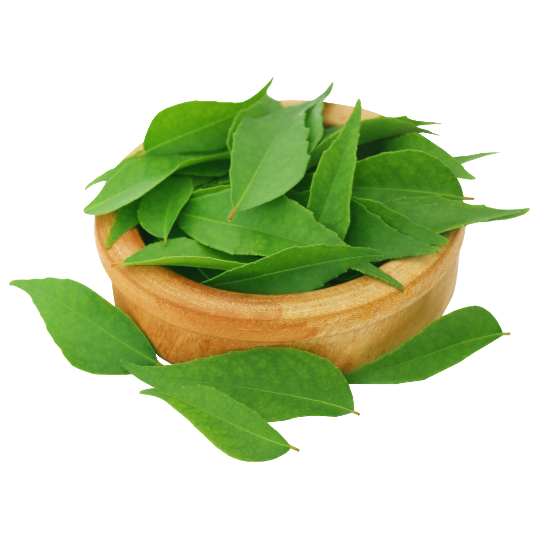 Curry Leaves (करी पत्ता)-