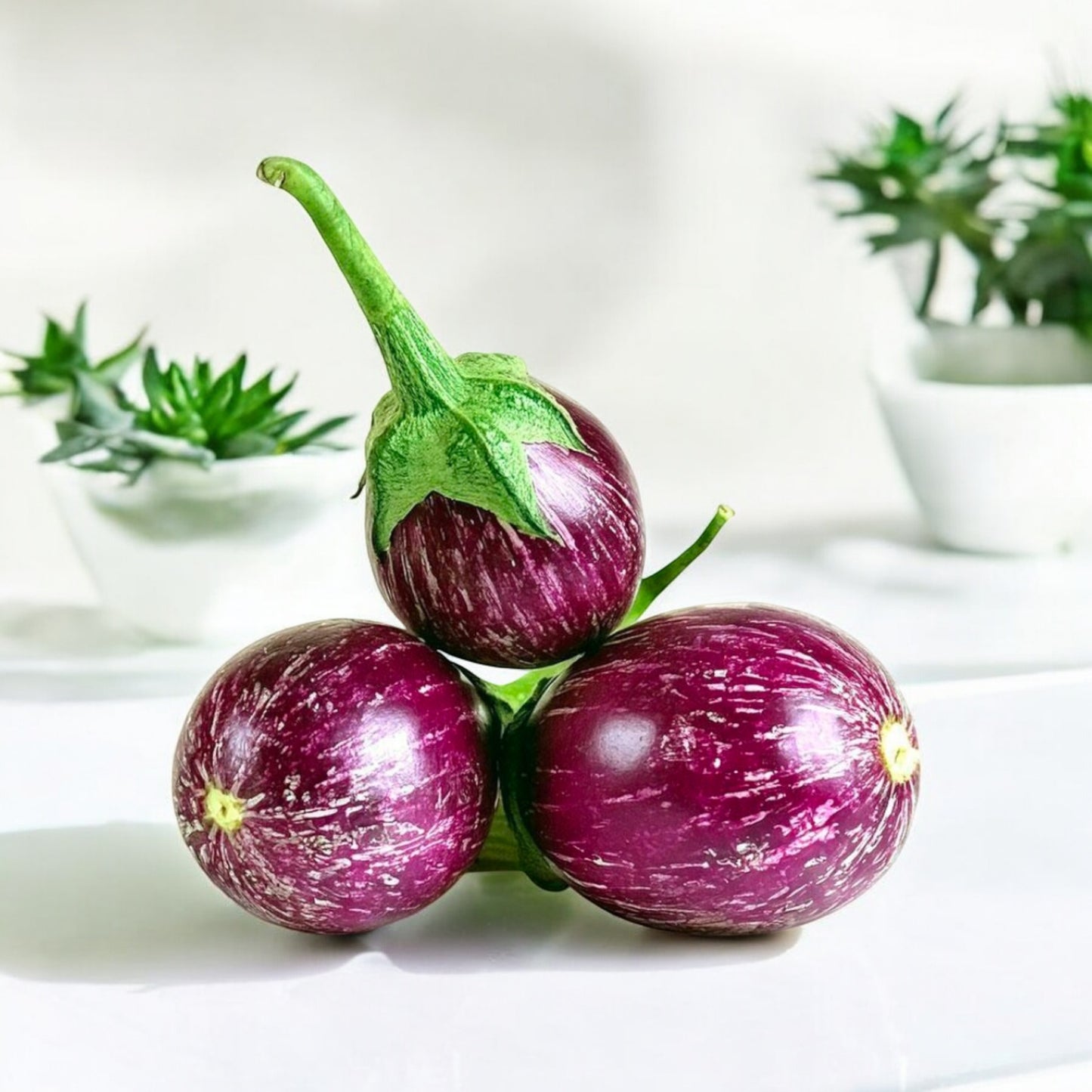 Brinjal Small वांगी (Vaangi)
-500g