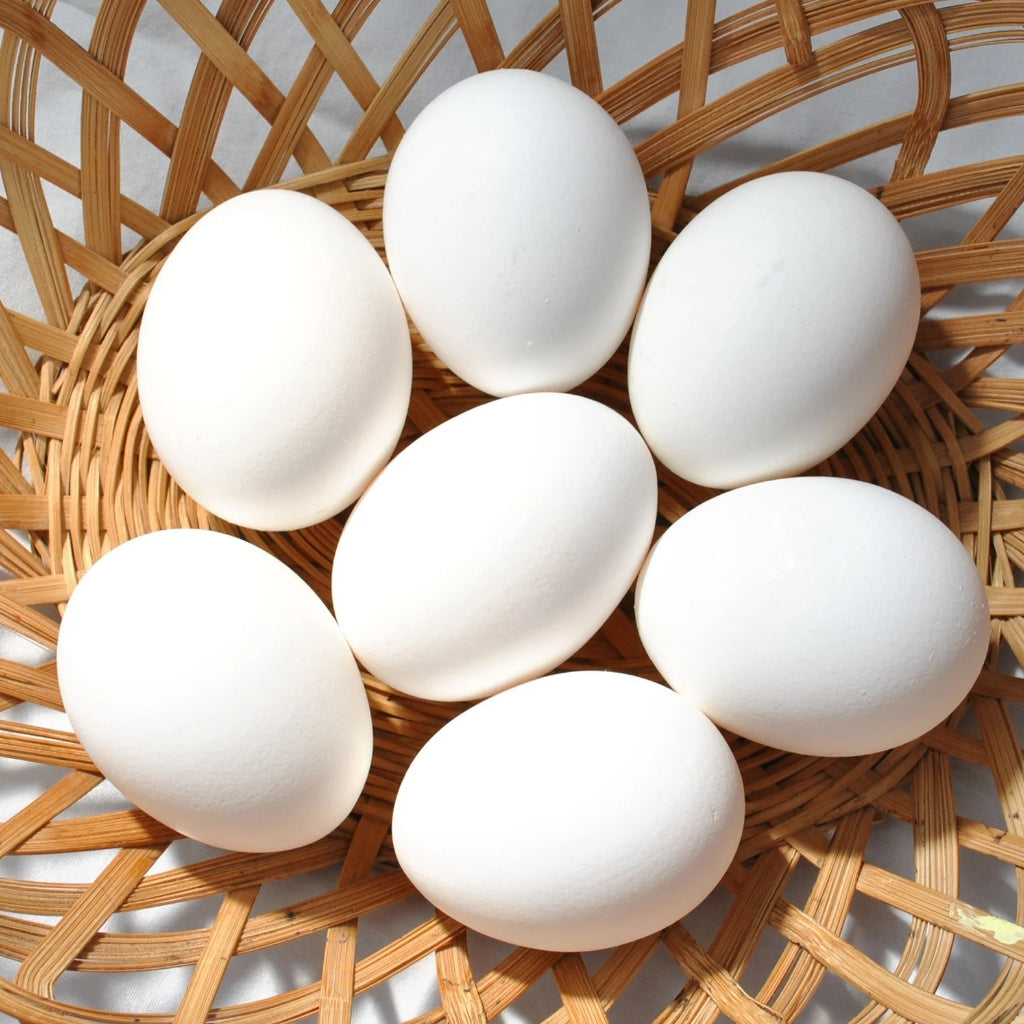Eggs