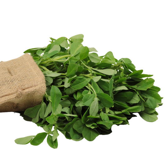 Fenugreek (मेथी) -1 Judi