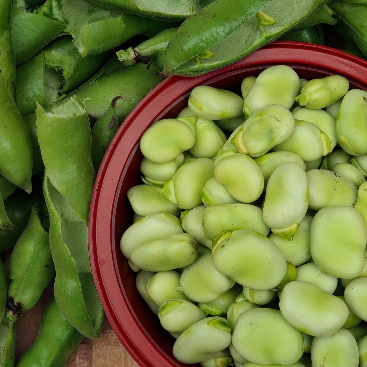 Broad Beans 250g