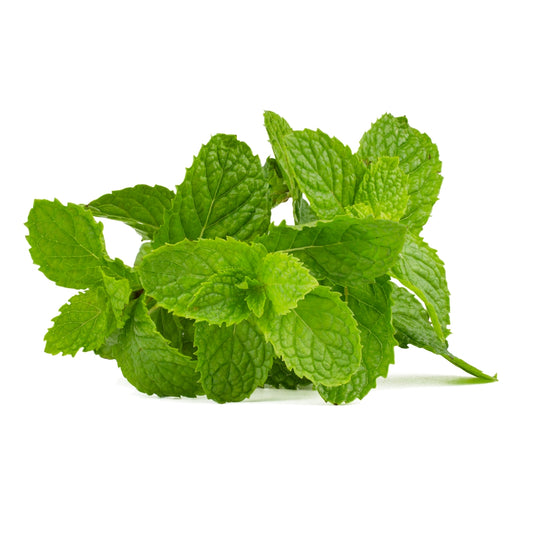 Mint (पुदीना ) -1 Bunch