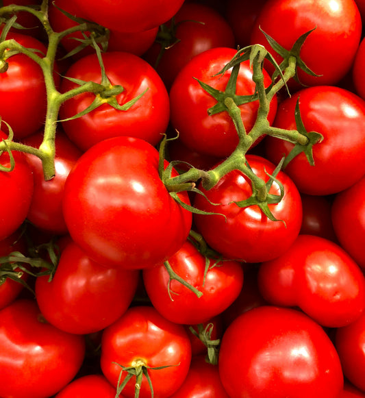 Tomato टमाटर (Tamāṭar)- 1kg