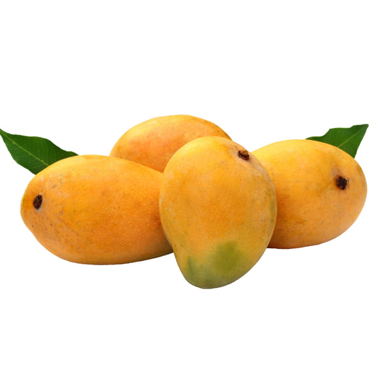 Ratnagiri Alphonso - FRESH MANGO
6 Pieces