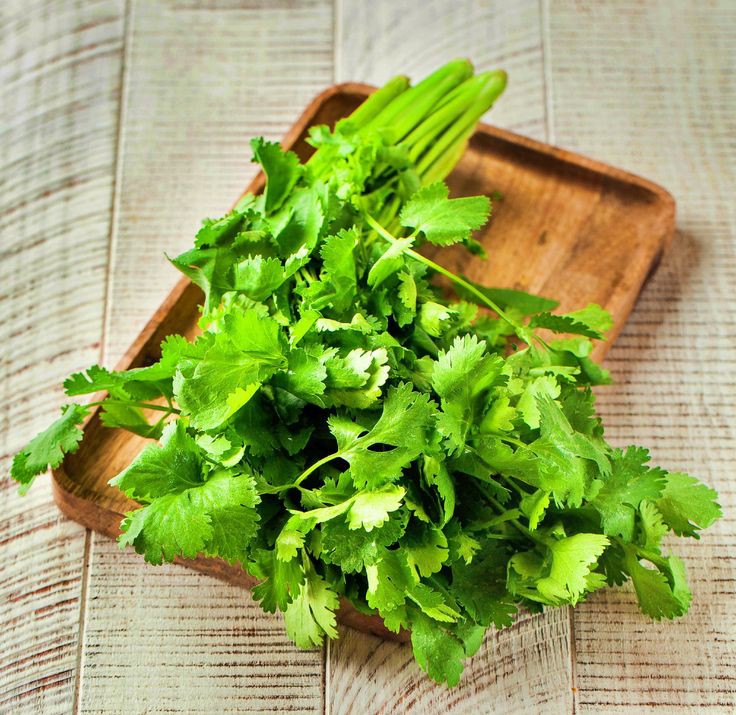 Coriander Big Bunch - Pack of 1